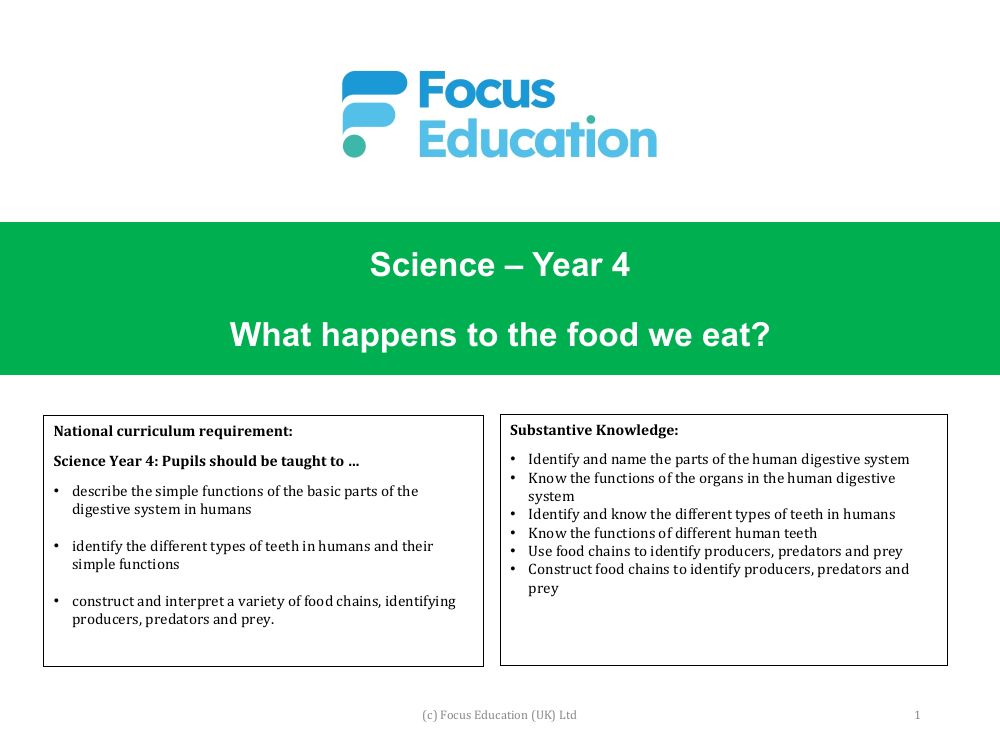 what-are-the-parts-of-the-digestive-system-called-presentation