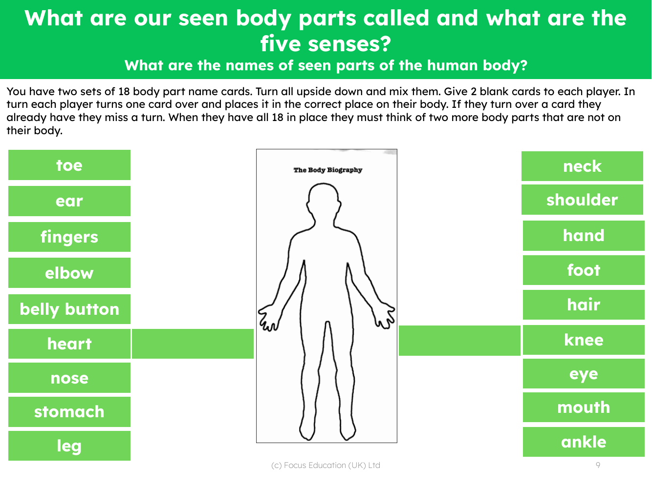 How many body parts can you name? - card game - Worksheet