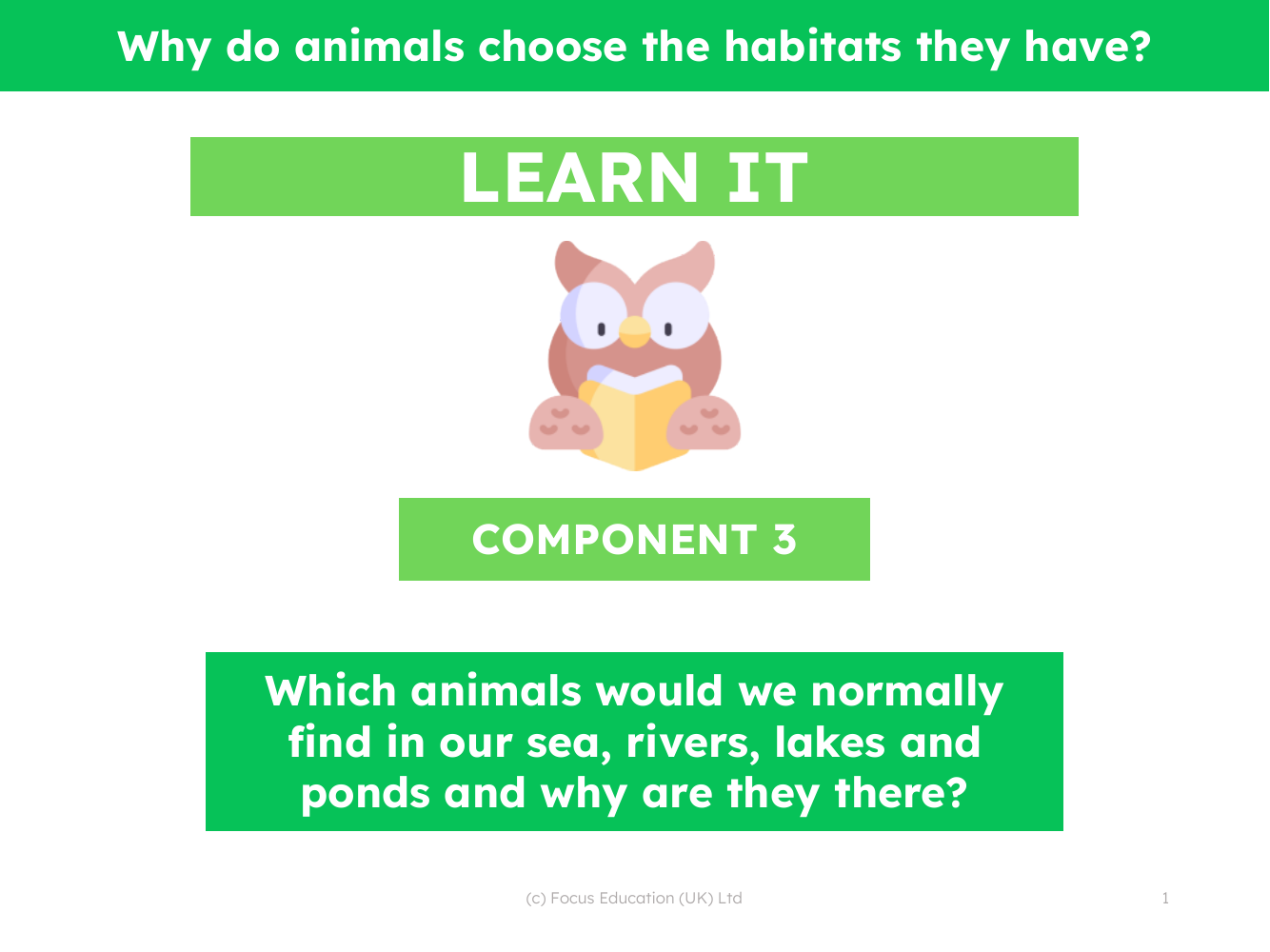 Which animals would we normally find in our sea, rivers, lakes and ponds and why are they there? - Presentation