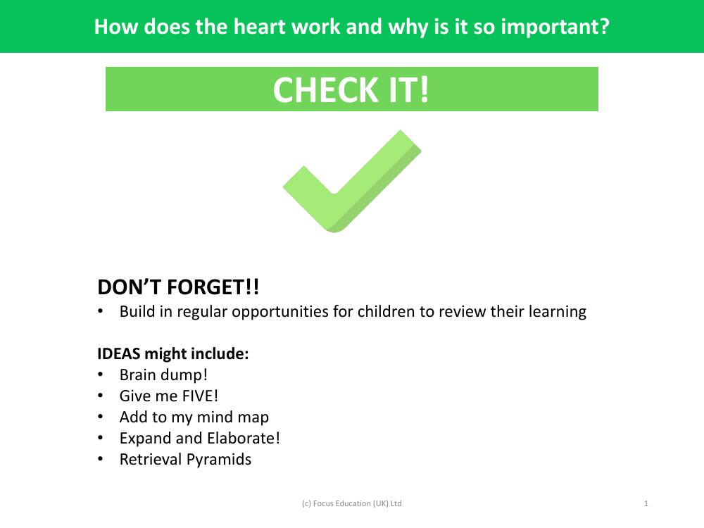 Check it! - Heart and the Circulatory system - Year 6