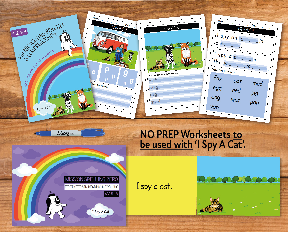 I Spy A Cat - Teacher Notes (Writing And Comprehension Practice)