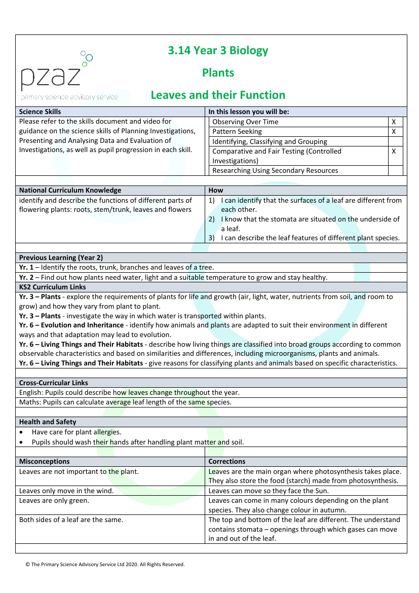 leaves-lesson-plan-science-year-3