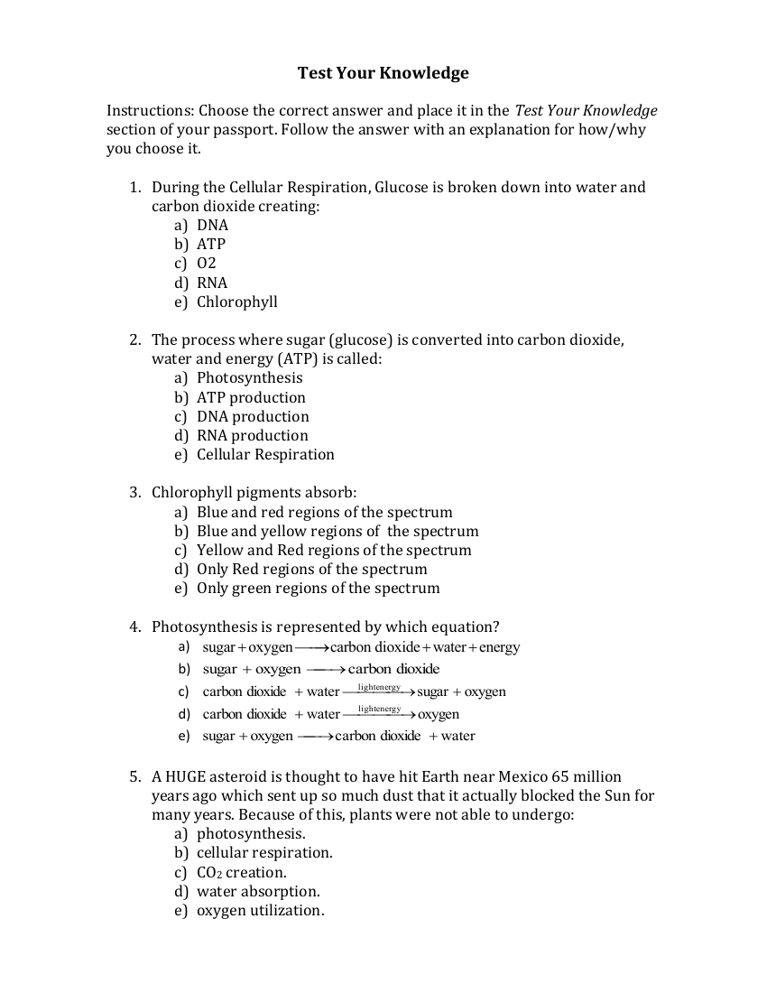 Cellular Respiration Photosynthesis - Test your Knowledge