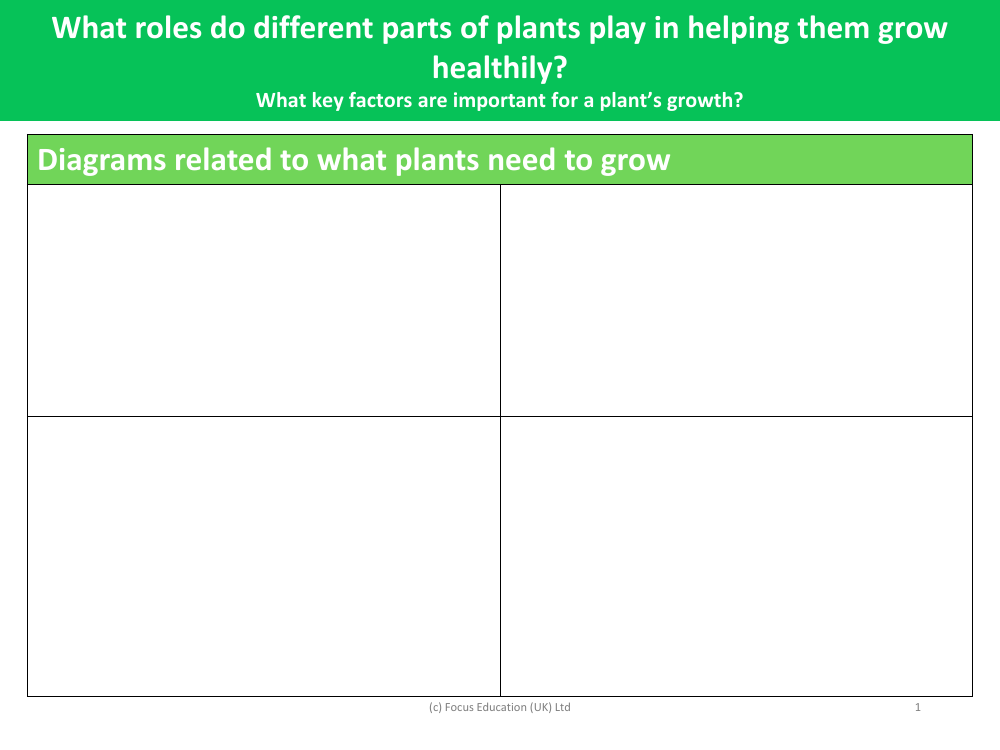 What do plants need to survive? - diagram activity - worksheet