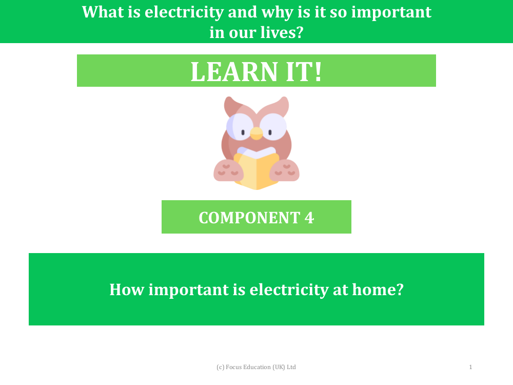 How important is electricity at home? - Presentation