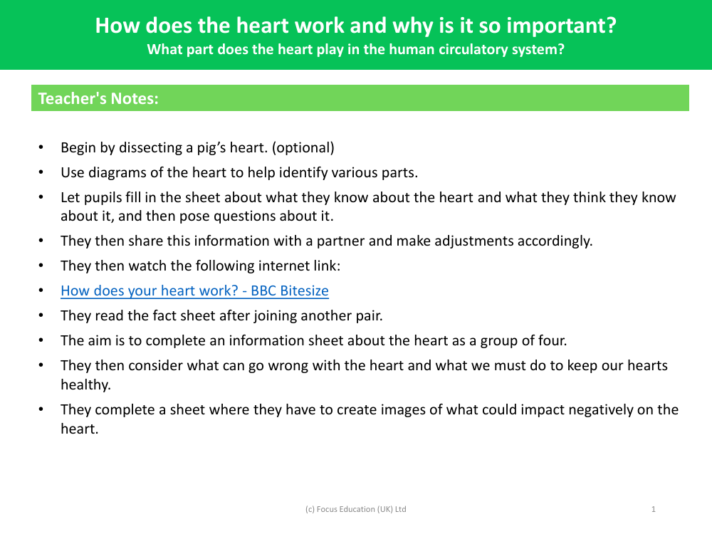 What part does the heart play in the human circulatory system? - Teacher notes