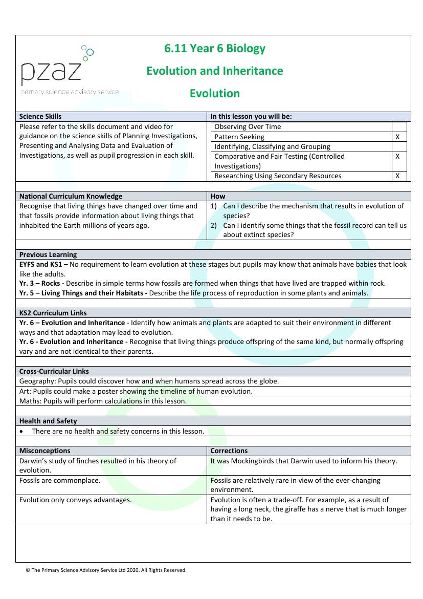 Evolution - Lesson Plan | Science Year 6