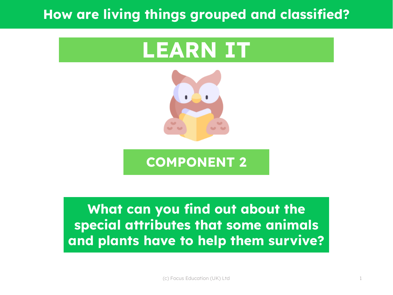 What can you find out about the special attributes that some animals and plants have to help them survive? - Presentation