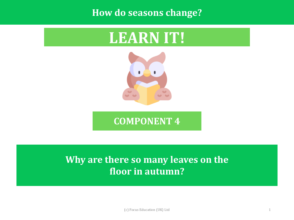 Why are there so means leaves on the floor in autumn? - Presentation