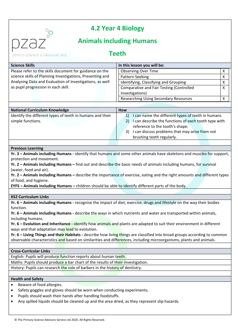 Teeth - Lesson Plan