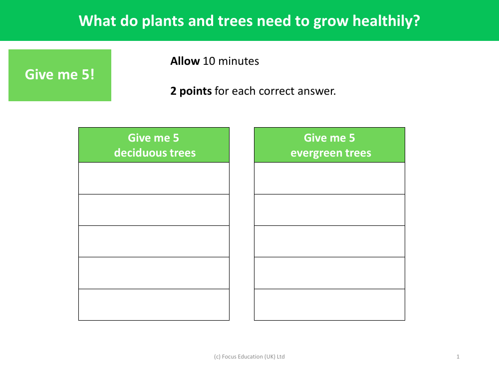Give me 5 - deciduous and evergreem trees - Year 2