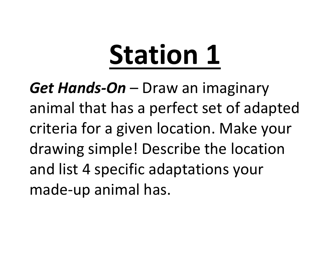 Physical and Behavioral Adaptations - Lab Station Cards