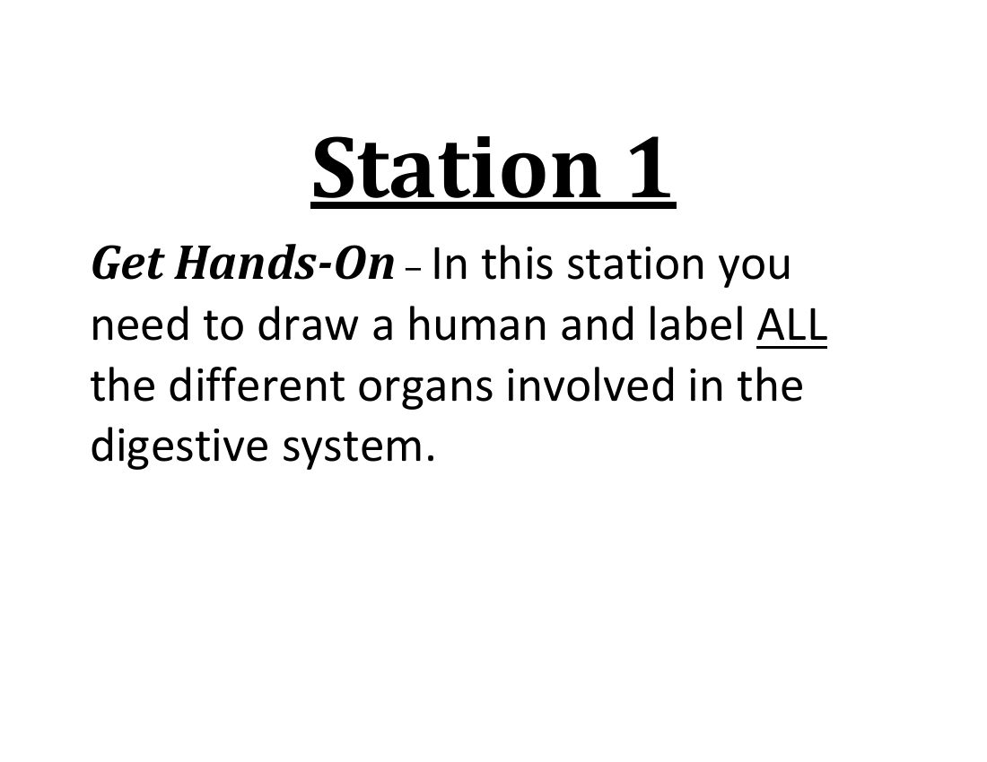 The Human Digestive System - Lab Station Cards