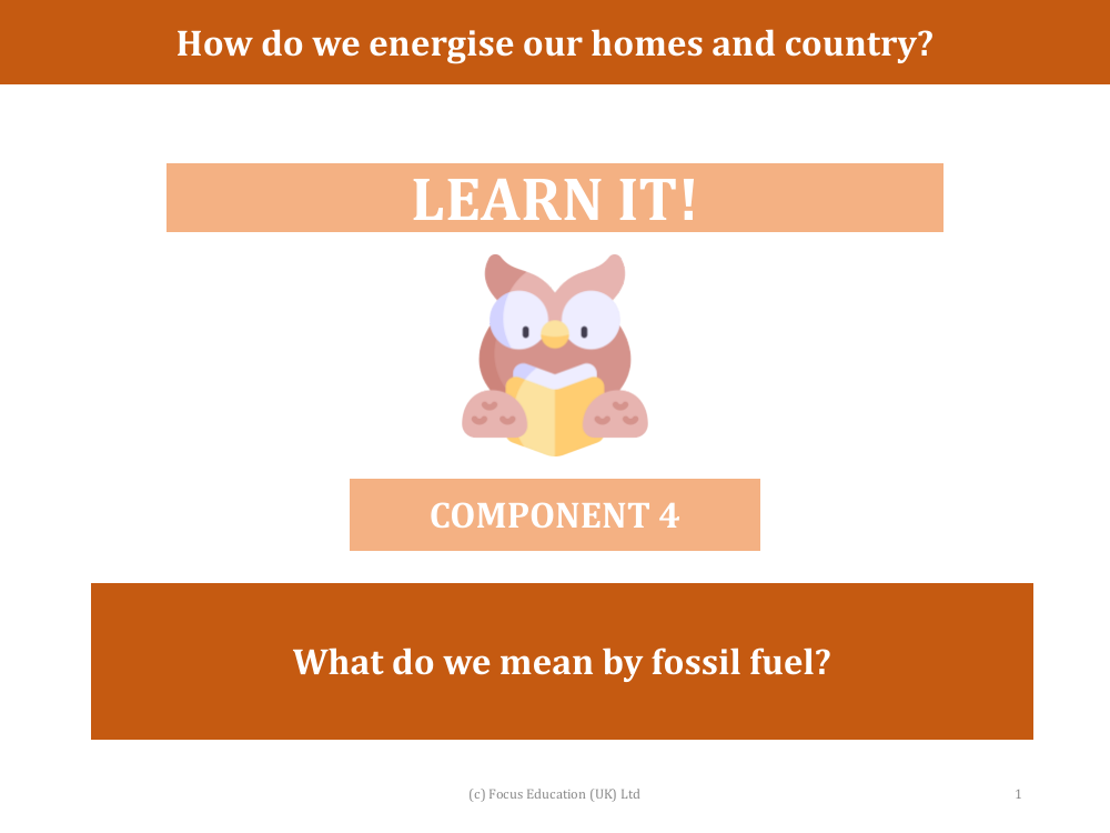 What do we mean by fossil fuel? - presentation