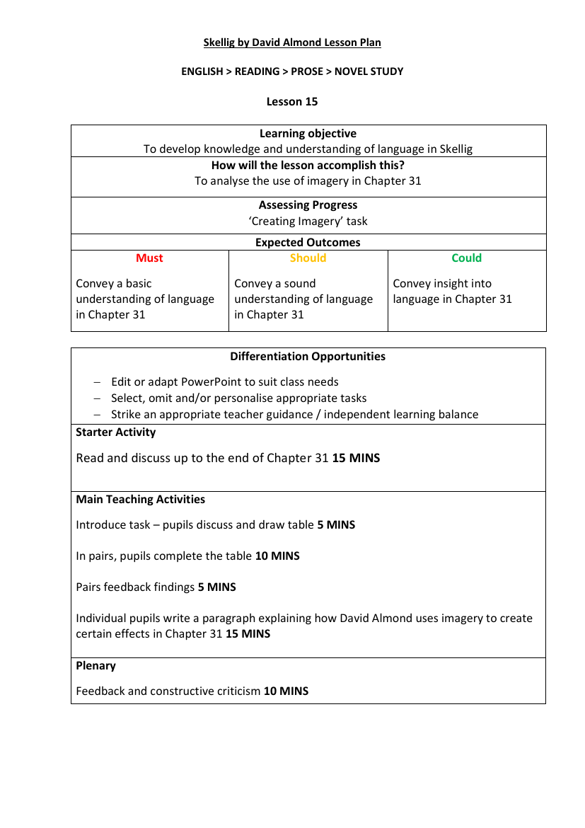 Skellig Lesson 15: Hot Seating - Lesson Plan