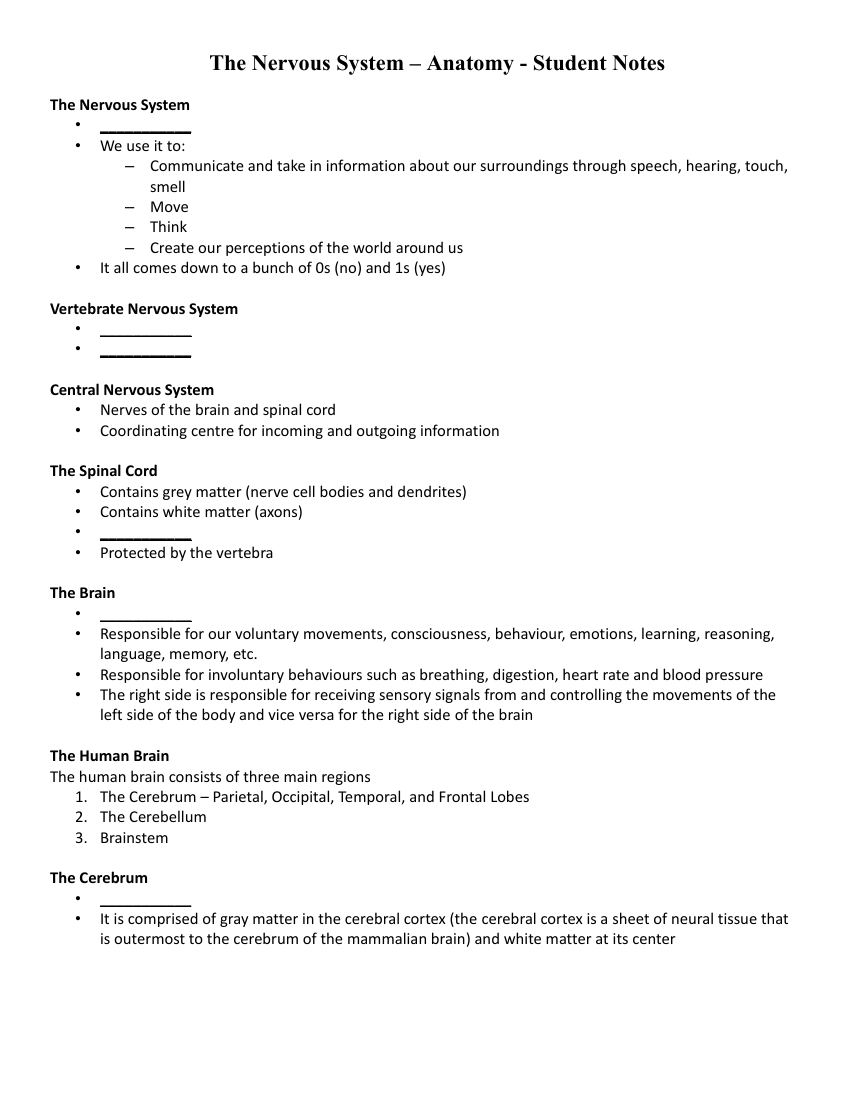 The Nervous System - Anatomy - Student Lesson Outline