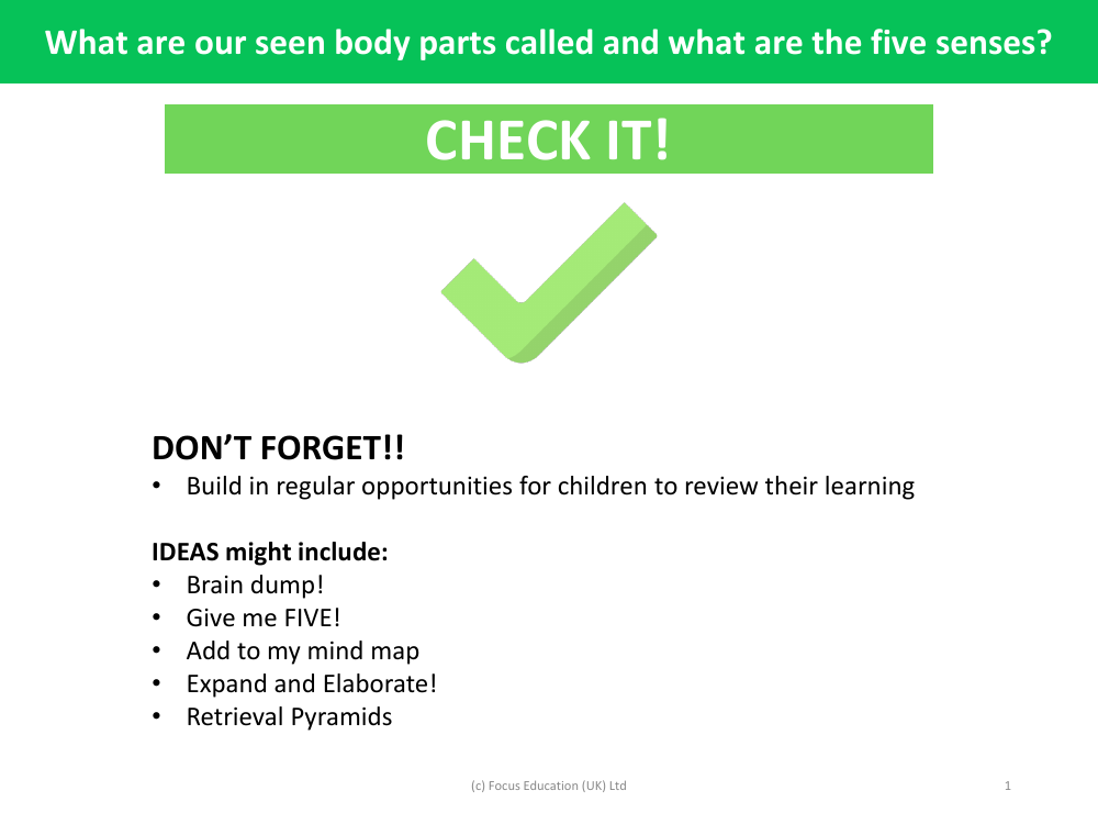Check it! - Body Parts - Year 1