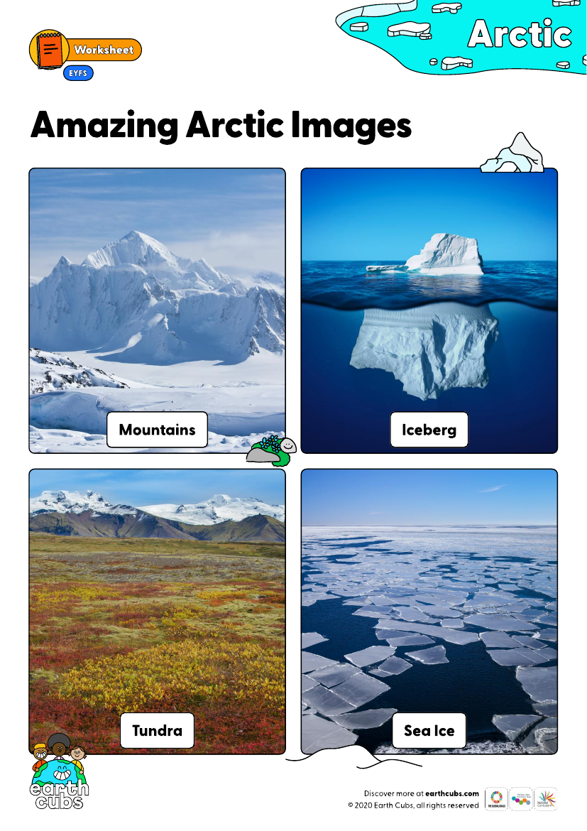 Amazing Arctic Images