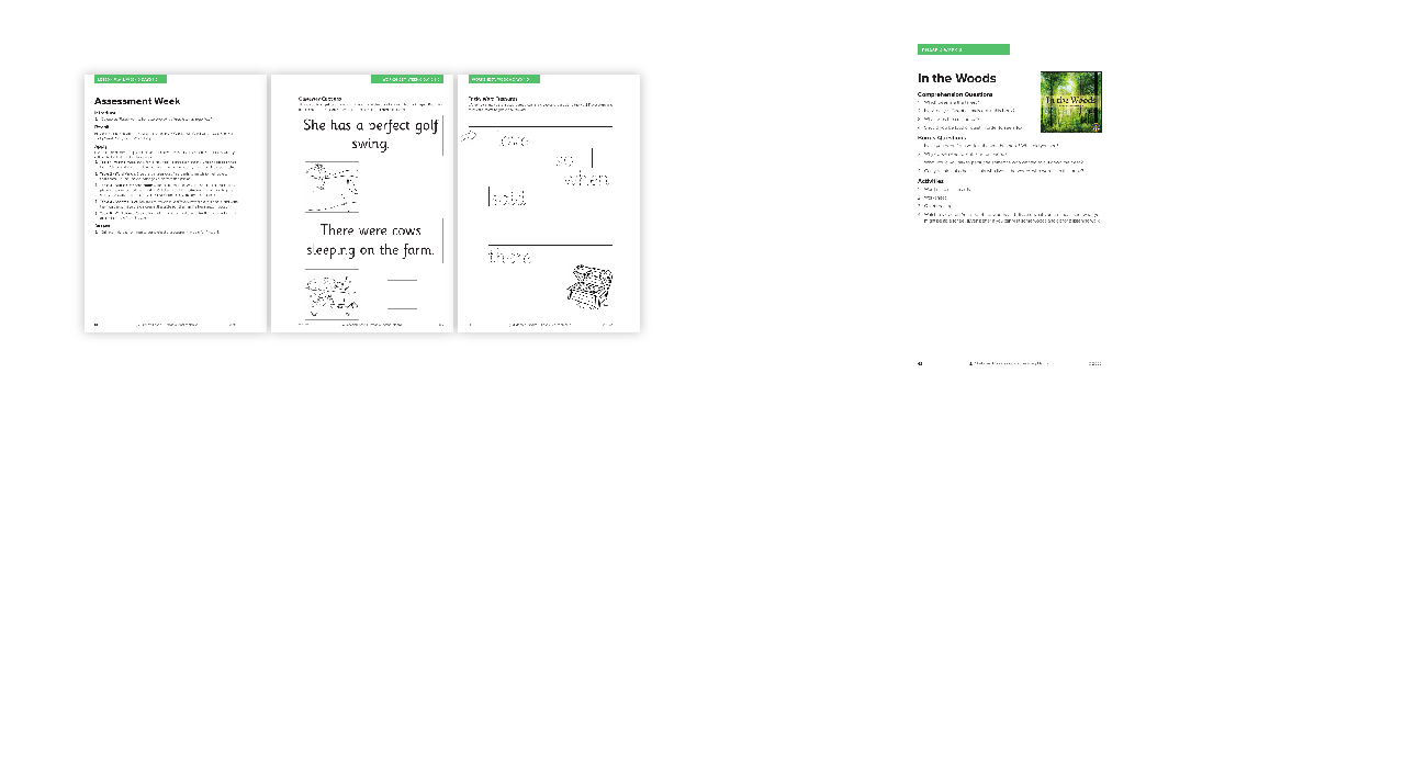 Assessment week - Phonics Phase 4 - Week 6