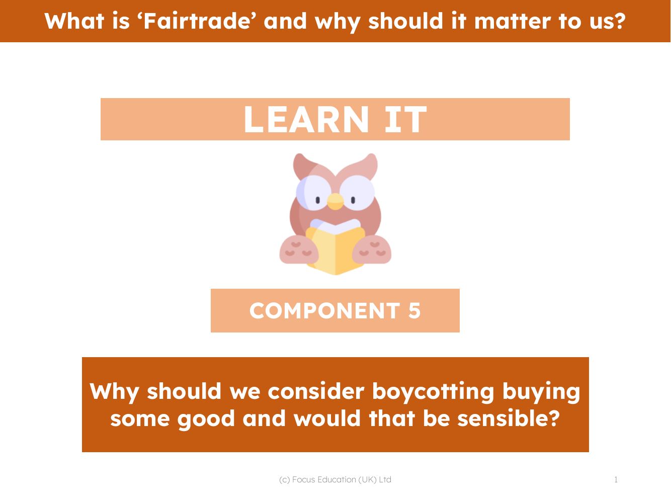 Why should we consider boycotting buying some good and would that be sensible? - Presentation