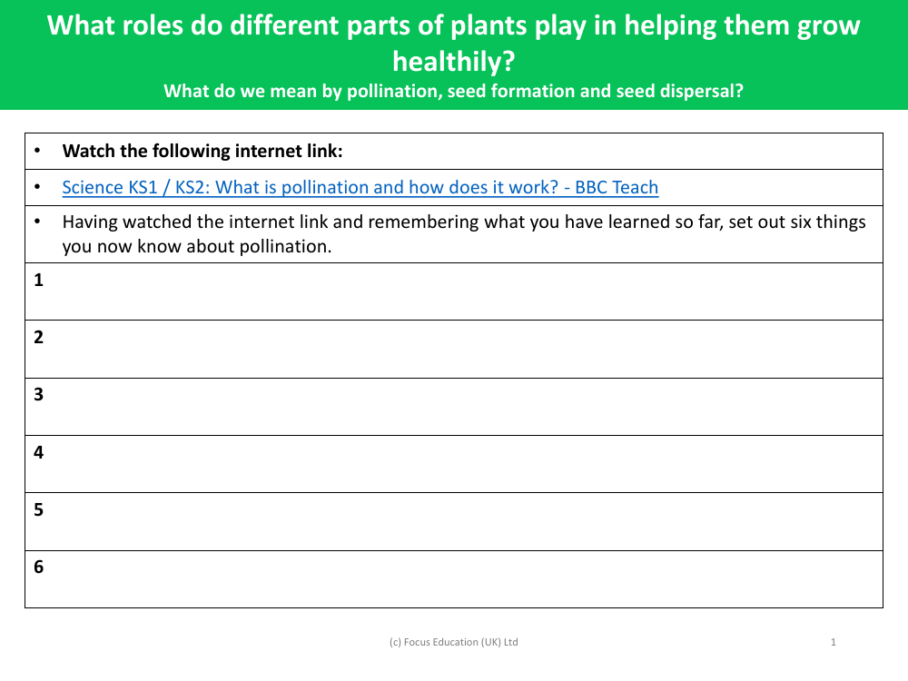 What do you know about pollination? - worksheet