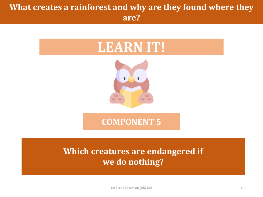 Which creatures are endangered if we do nothing?  - Presentation