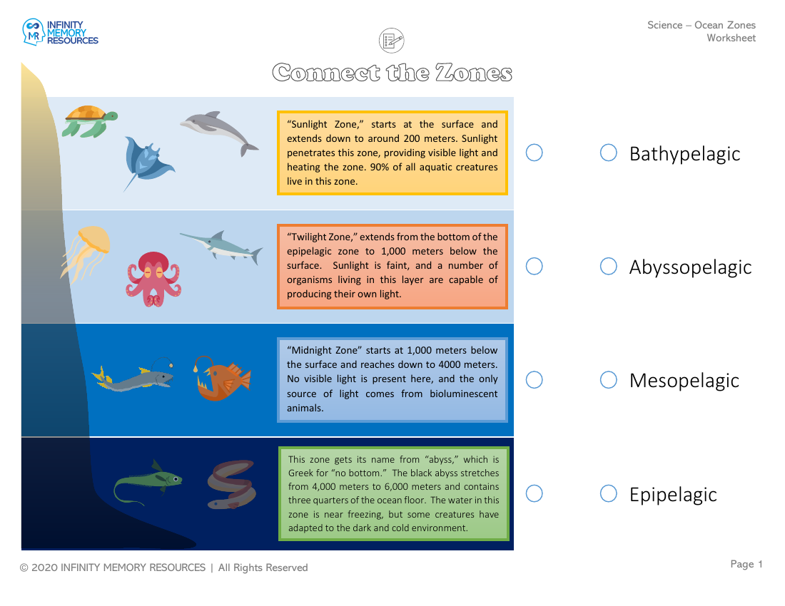 Types of Ocean Zones - Worksheet