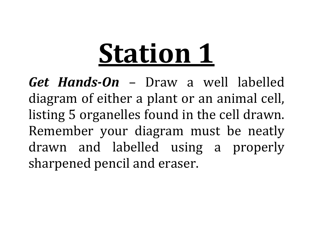 Cells and the Cell Theory - Lab Station Cards