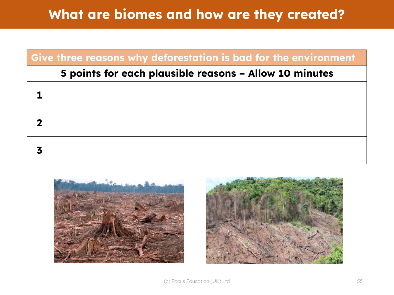 Three reasons - Why deforestation is bad