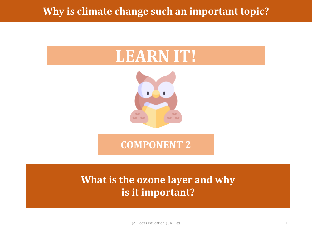 What is the ozone layer and why is it important? - presentation