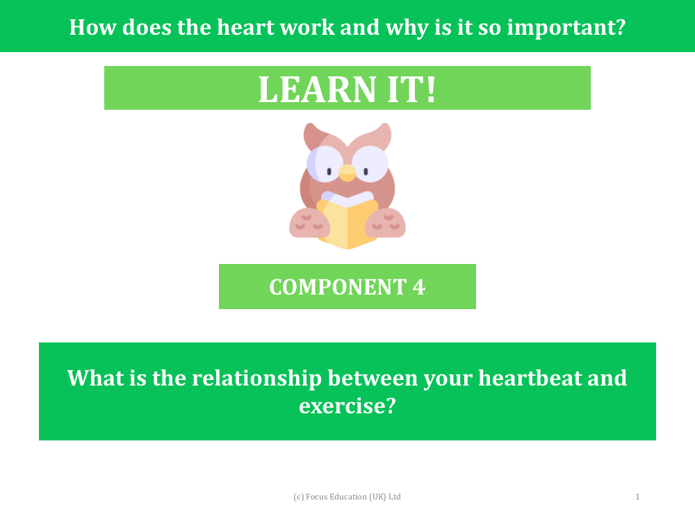 What is the relationship between your heartbeat and exercise? - Presentation