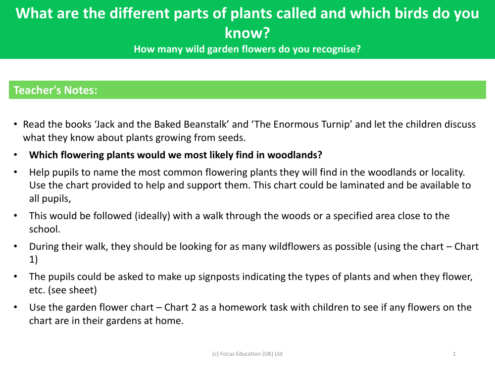 How many wild garden flowers can you recognise? - Teacher's Notes