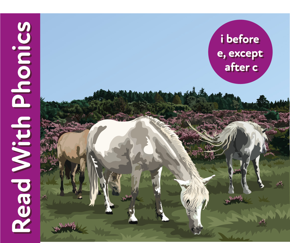 A Day Out In The New Forest: Learn 'i before e except after c' - Teacher Notes