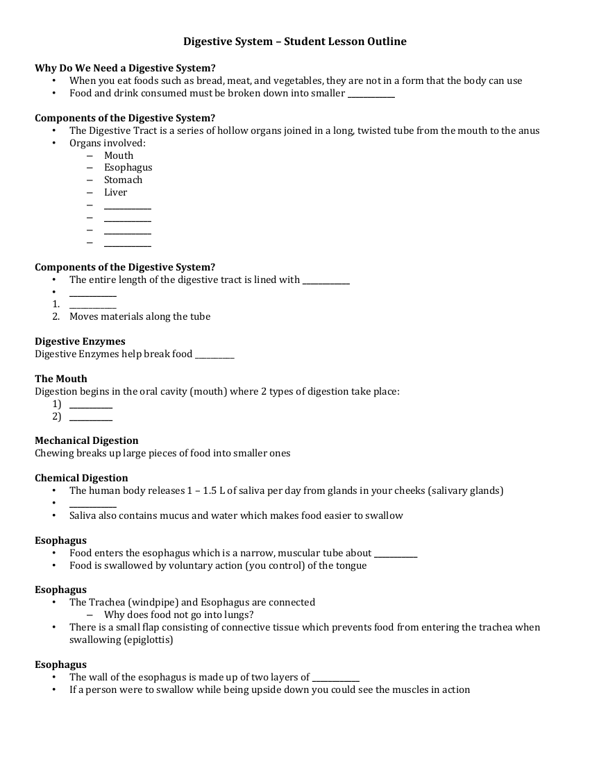 The Human Digestive System - Student Lesson Outline