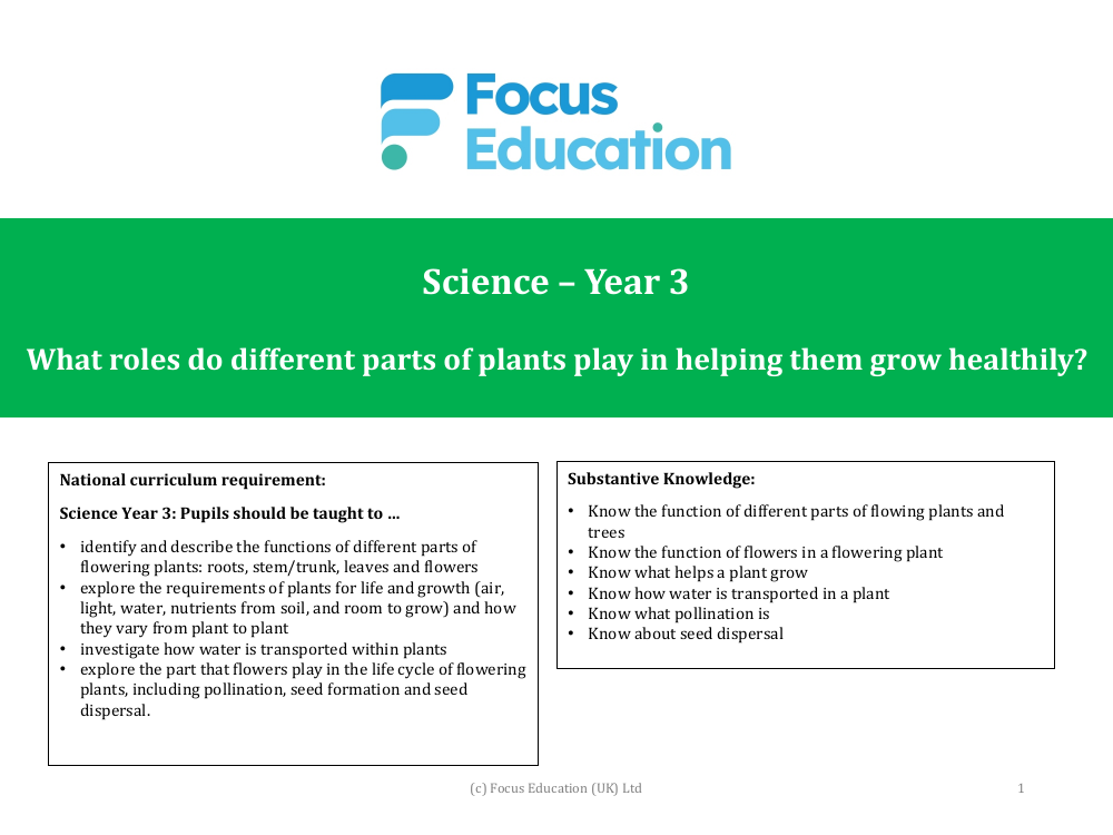 What part do different parts of plants play in helping them grow healthily? - presentation