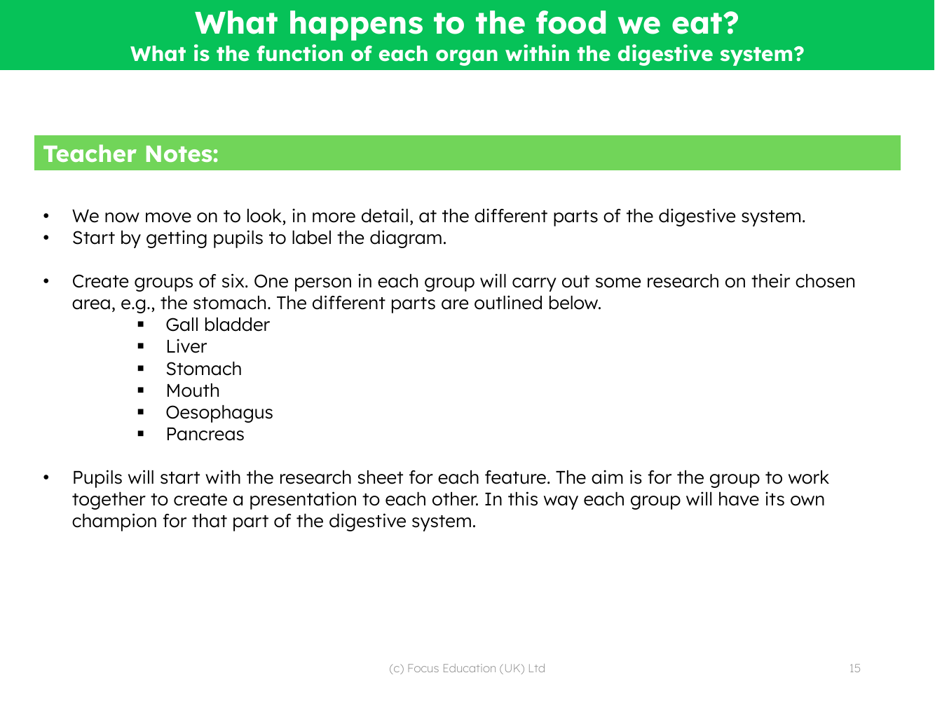 What is the function of each organ within the digestive system? - Teacher notes