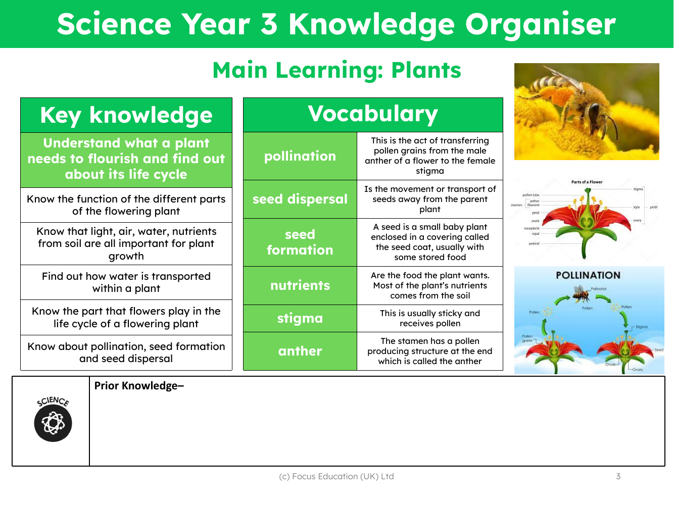Knowledge organiser - Plants - 2nd Grade