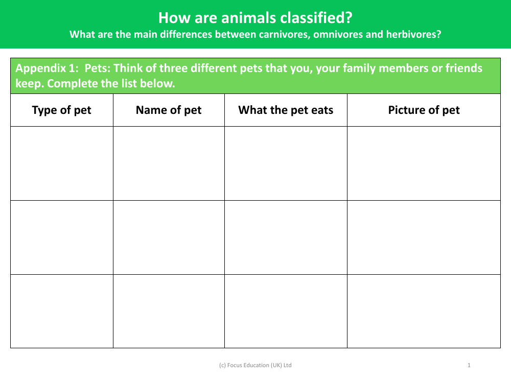 Classifying pets - Worksheet