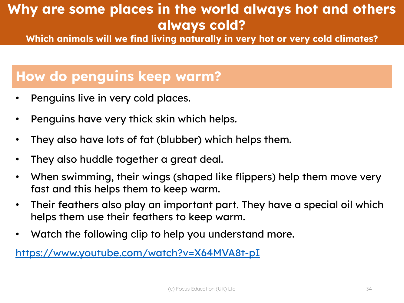 How do penguins keep warm - Info sheet