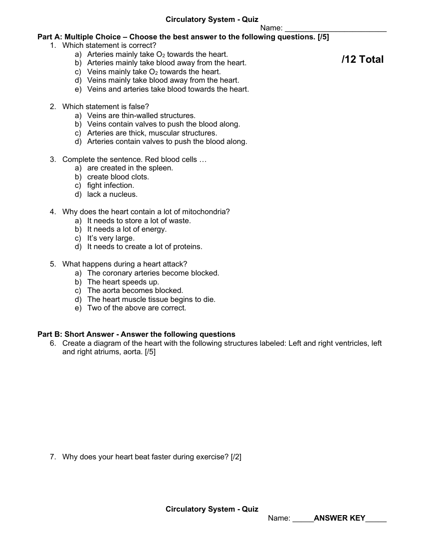 Quiz - The Circulatory System