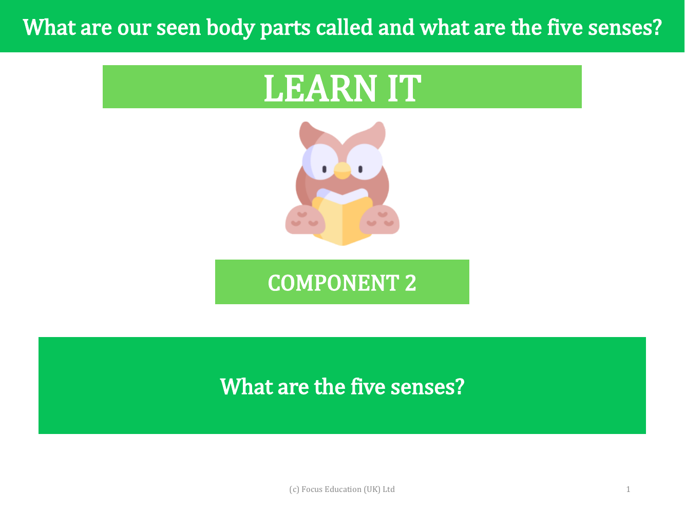 What are the five senses? - Presentation