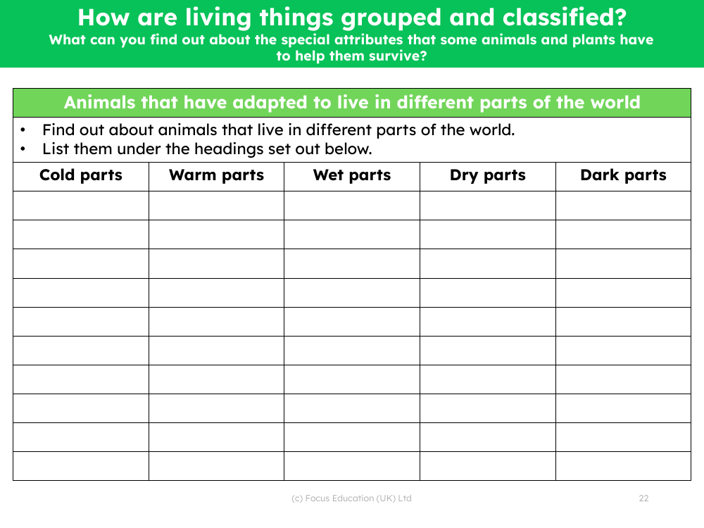 Animal adaptations - Worksheet