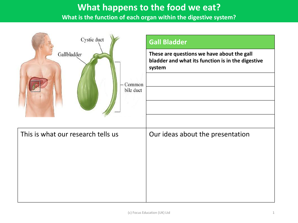 Gall bladder - Research sheet