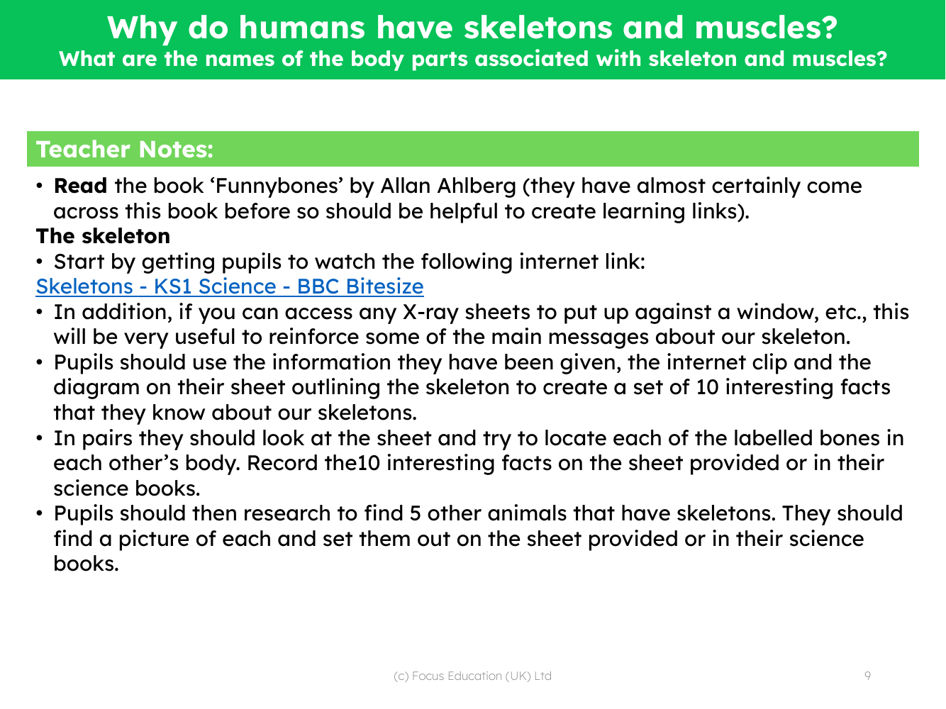 What are the names of the body parts associated with skeleton and muscles? - Teacher notes