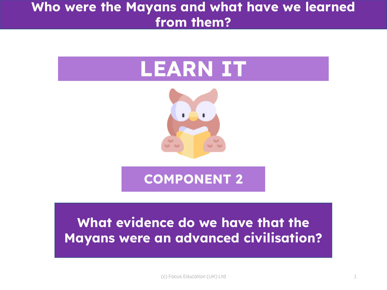 What evidence do we have that the Mayans were and advanced civilisation? - Presentation