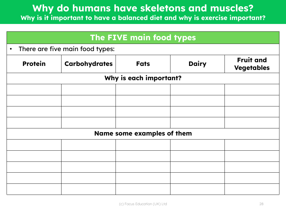 Five main food types - Worksheet