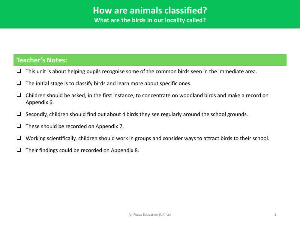 What are the birds in our locality called? - Teacher notes