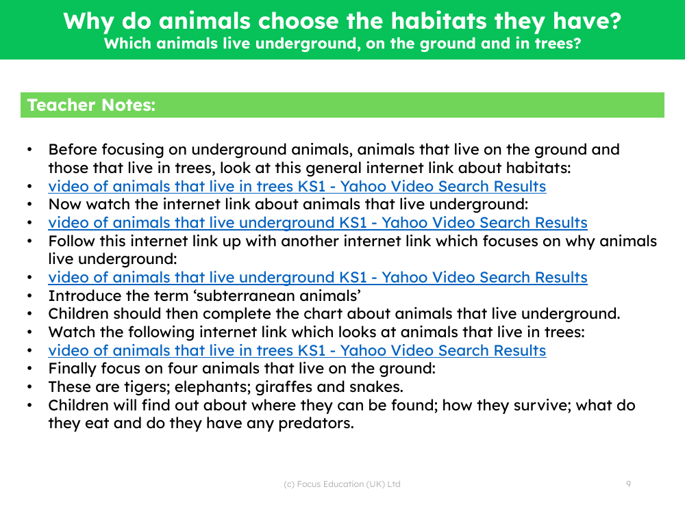 Which animals live underground, on the ground and in trees? - Teacher notes  | Science Year 2