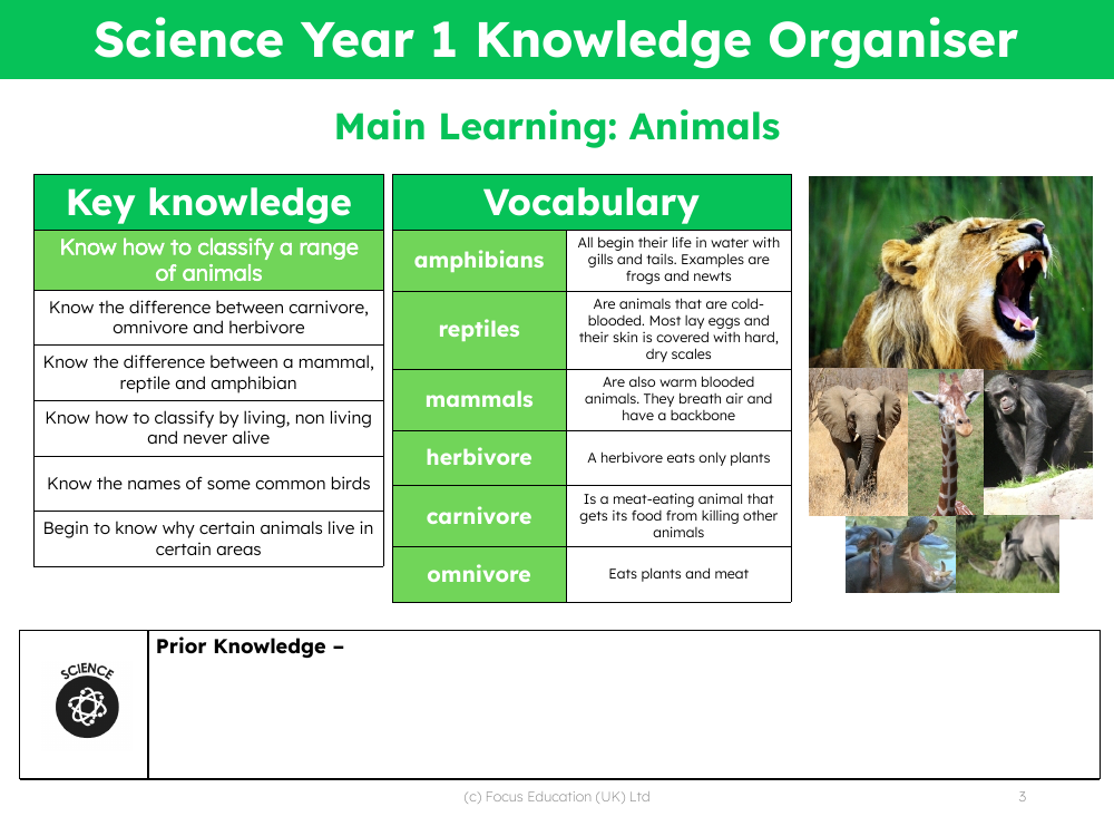 Knowledge organiser - How are Animals Classified - Kindergarten
