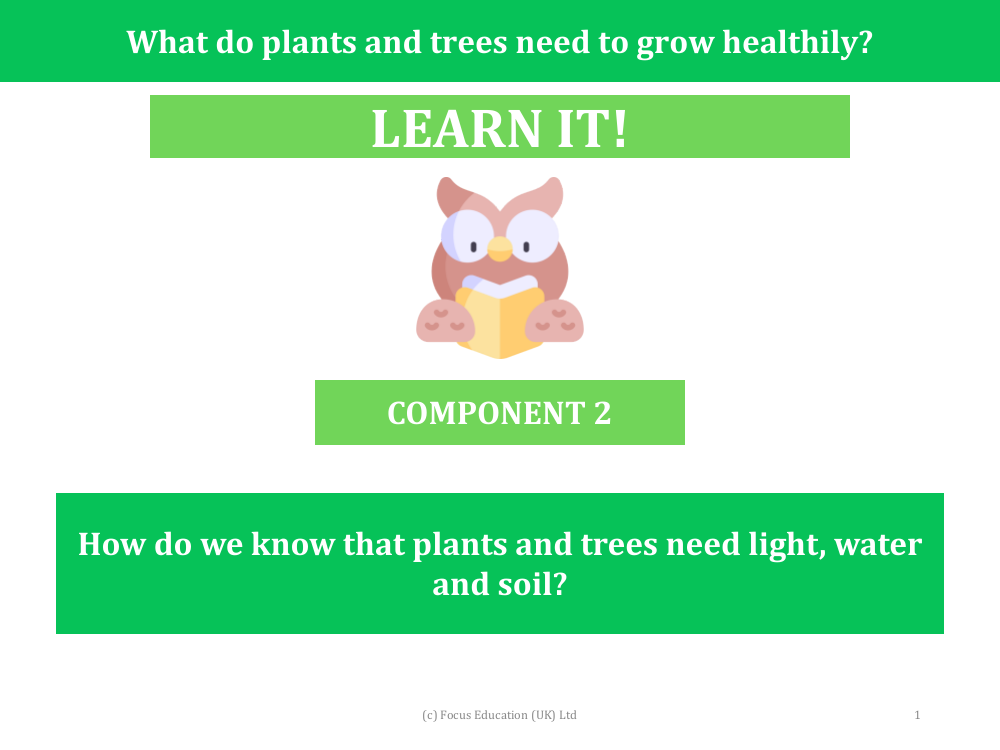 How do we know that plants and trees need light, water and soil? - Presentation